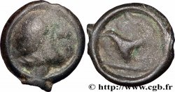 VALLÉE DU RHÔNE Potin au long cou