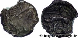GALLIEN - AULERCI EBUROVICES (Region die Évreux) Bronze au sanglier enseigne