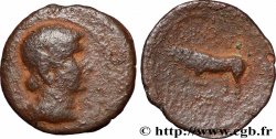 RÈMES (Région de Reims) Bronze GERMANVS INDVTILLI au taureau (Quadrans)