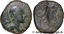 NEMAUSUS - NISMES Bronze NEM COL (semis)