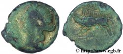 NEMAUSUS - NÎMES Bronze au sanglier NAMA SAT TB+