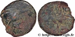 NEMAUSUS - NIMA Bronze NEM COL (semis)