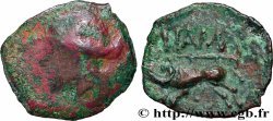 NEMAUSUS - NISMES Bronze au sanglier NAMA SAT