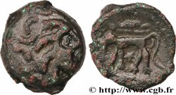 CARNUTES (Région de la Beauce) Bronze au loup, tête à droite