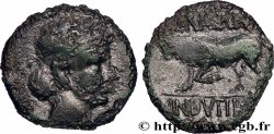 GALLIA BELGICA - REMI (Area of Reims) Bronze GERMANVS INDVTILLI au taureau (Quadrans)