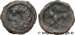DUROCASSIS (Area of Dreux) Bronze SNIA au loup