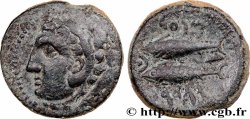 HISPANIA - GADIR/GADES (Province de Cadiz) Chalque à la tête de Melqart et aux thons