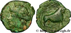 MASSALIA - MARSEILLE Bronze au taureau passant (hémiobole)