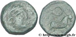 NERONKEN - NÉDÈNES (oppidum de Montlaurès) Unité ou bronze au taureau, (MB, Æ 21)