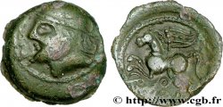 SUESSIONS (région de Soissons) Bronze CRICIRV, barbu