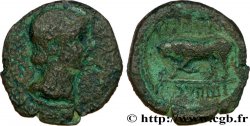 GALLIA BELGICA - REMI (Area of Reims) Bronze GERMANVS INDVTILLI au taureau (Quadrans)