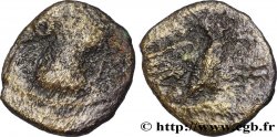 GALLIA - VOLCÆ ARECOMICI (Area of Nîmes) Bronze AR / VOLC, à l aigle