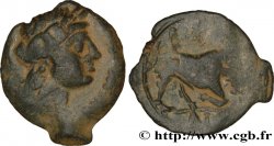 MASSALIA - MARSEILLE Bronze au taureau (hémiobole ?)