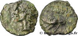 NEMAUSUS - NISMES Bronze au sanglier NAMA SAT
