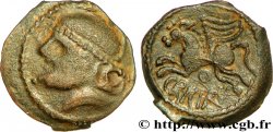 SUESSIONS (région de Soissons) Bronze CRICIRV, barbu