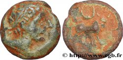 HISPANIA - IBERICO - CASTULO/KASTILO (Province of Jaen/Calzona) Demi unité de bronze ou semis, (PB, Æ 19)