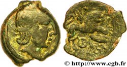 LÉXOVIENS (Région de Lisieux) Bronze du type de CISIAMBOS au lion