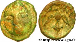 SEGUSIAVI / ÆDUI, Unspecified (Area of Feurs (Forez) / Mont-Beuvray) Bronze SECISV à la tête de face XF/AU