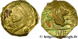 GALLIA BELGICA - MELDI (Región de Meaux) Bronze ROVECA ARCANTODAN, classe Ib