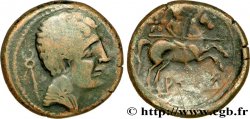 HISPANIA - ARSE SAGUNTO (Province de Valence) Unité de bronze au cavalier ou as TB+/TTB