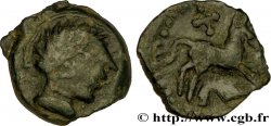 CARNUTES (Région de la Beauce) Bronze au cheval et au sanglier, tête à droite