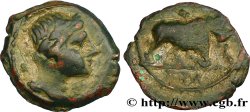 MASSALIEN - MARSEILLES Bronze au taureau (hémiobole ?)