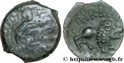 REMI / CARNUTES, Unspecified Bronze CORIACOS / A.HIR.IMP au lion