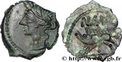 NEMAUSUS - NÎMES Bronze au sanglier NAMA SAT