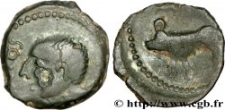 GALLIA - ANDECAVI (Región de Angers) Bronze TOGIANTO / SLAMB, classe II