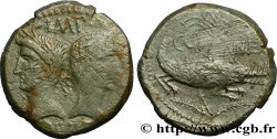 NEMAUSUS - NÎMES - AUGUSTE et AGRIPPA Dupondius COL NEM - Agrippa barbu