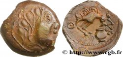 SÉNONS (région de Sens) Bronze INS à l’oiseau et au vase, classe VIII