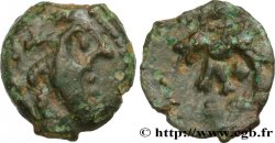 CARNUTES (Région de la Beauce) Bronze au loup, tête à droite