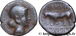GALLIEN - BELGICA - REMI (Region die Reims) Bronze GERMANVS INDVTILLI au taureau (Quadrans)