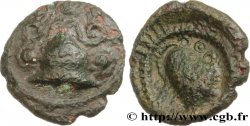 GALLIA BELGICA - AMBIANI (Región de Amiens) Bronze au casque et à la tête de face