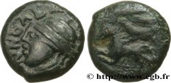 GALLIA BELGICA - LEUCI (Regione di Toul) Bronze MATVGIINOS