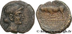 TREVIRI (Region die Trier) Bronze GERMANVS INDVTILLI au taureau (Quadrans)