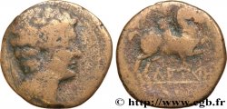 HISPANIA - LAYETANOS - LAURO Unité de bronze au cavalier ou as