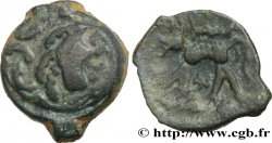 GALLIA - CARNUTES (Beauce area) Bronze au loup, tête à droite
