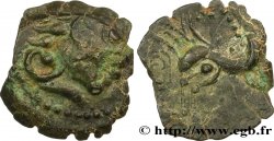 CARNUTES (Région de la Beauce) Bronze au pégase
