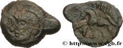 PAGUS CATUSLUGI - Sanctuaire de BOIS L ABBÉ (Seine-Maritime) Bronze VIIRICIVS, classe II