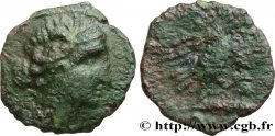 VOLQUES ARÉCOMIQUES (région de Nîmes) Bronze AR / VOLC, à l aigle