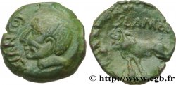 GALLIA - ANDECAVI (Regione di Angers) Bronze TOGIANTO / SLAMB, classe II q.SPL
