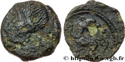 GALLIA - CARNUTES (Beauce area) Bronze PIXTILOS classe II à la louve et au lézard