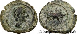 HISPANIA - IBERICO - CASTULO/KASTILO (Province of Jaen/Calzona) Quadrans de bronze au sanglier