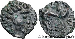 CARNUTES (Région de la Beauce) Bronze au pégase