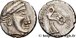 CAVARES (région d Avignon et d Orange) Denier IALKOVESI au buste de cheval