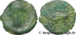 NEMAUSUS - NIMES Bronze au sanglier NAMA SAT