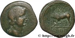 GALLIA BELGICA - REMI (Area of Reims) Bronze GERMANVS INDVTILLI au taureau (Quadrans)