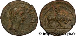 GALLIA - SANTONES / CENTROVESTE - Incerti Bronze ATECTORI (quadrans)