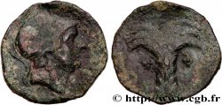 HISPANIA - HISPANO-CARTAGIENSIS Unité de bronze au palmier et à la tête casquée